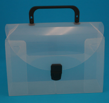 unique plastic packaging - clear frosted case example